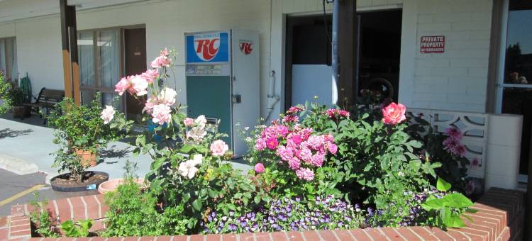 联排别墅公司汽车旅馆(Townhouse Motel)图片