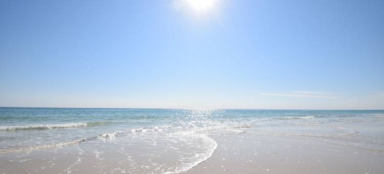 鹈鹕休息海滩房(Pelican's Rest Beach House)图片