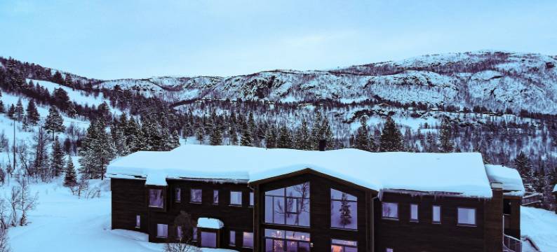 邦裘非尔高山旅馆(Bjørnfjell Mountain Lodge)图片