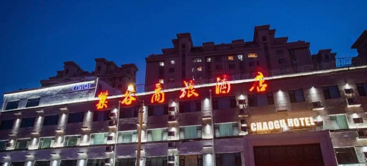巢谷酒店(长春卫星广场市政府店)图片