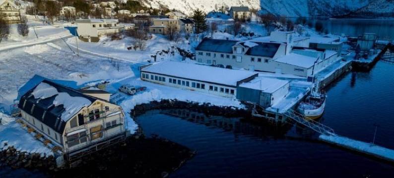 心之森加托尔斯肯码头(Torsken Brygge - Senja by Heart)图片