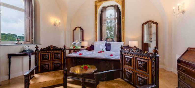 普斯臣斯汀城堡酒店(Schloss Purschenstein)图片