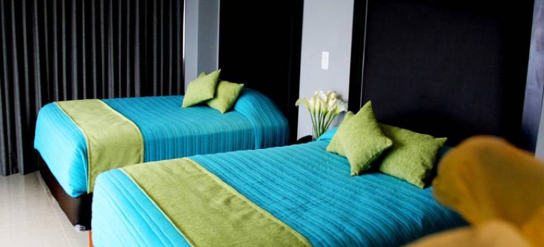 哈拉帕中心使命快捷酒店(Hotel Misión Express Xalapa)图片