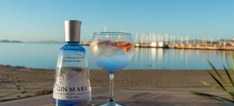 Ibersol海洋中心(Hotel Ibersol Atrio del Mar)图片