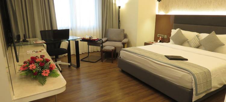 苏拉特洛兹广场酒店、(Lords Plaza Surat)图片