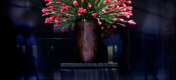 孟买欧贝罗伊酒店(The Oberoi, Mumbai)图片