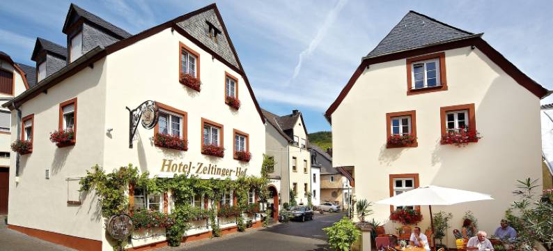 泽尔厅格霍夫酒店(Hotel Zeltinger-Hof - Gasthaus des Rieslings)图片