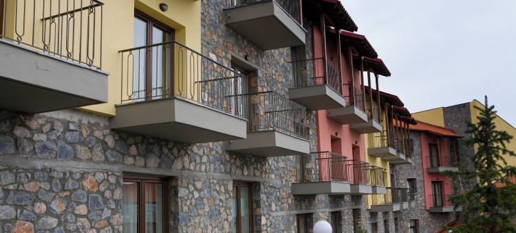 奈维山多莫特度假酒店(Domotel Neve Mountain Resort)图片