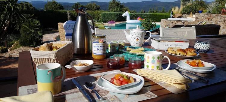 欢乐别墅酒店(Villa des Delices)图片