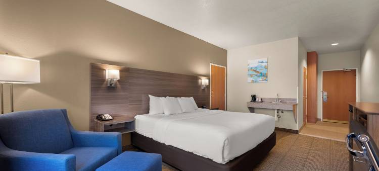 舒适套房旅馆(Comfort Inn & Suites)图片