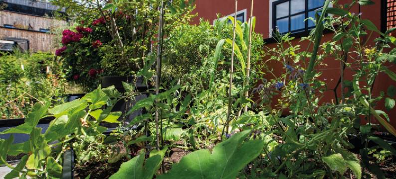 巴黎普赛MOB酒店(Mob Hotel Paris les Puces)图片