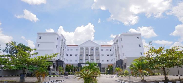 庞卡兰布恩布里兹酒店(Brits Hotel Pangkalan Bun)图片