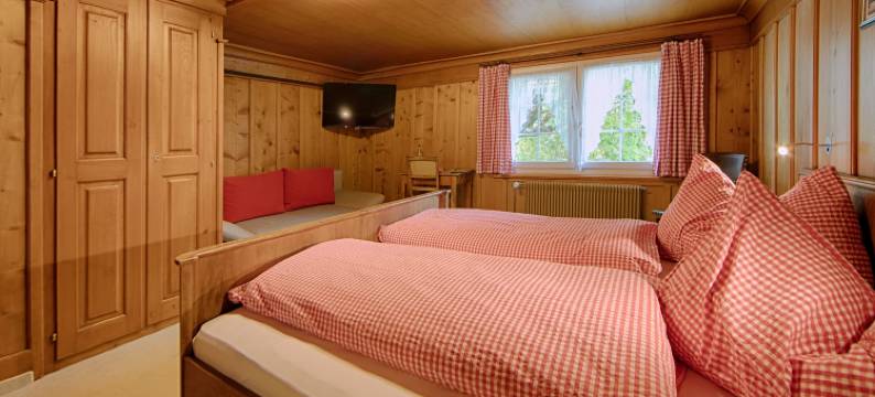 幸福远景旅馆(Hotel Frohe Aussicht)图片