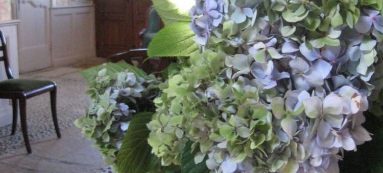 普拉迪尔民宿(Chambres d'hôtes de Charme le Pradel)图片