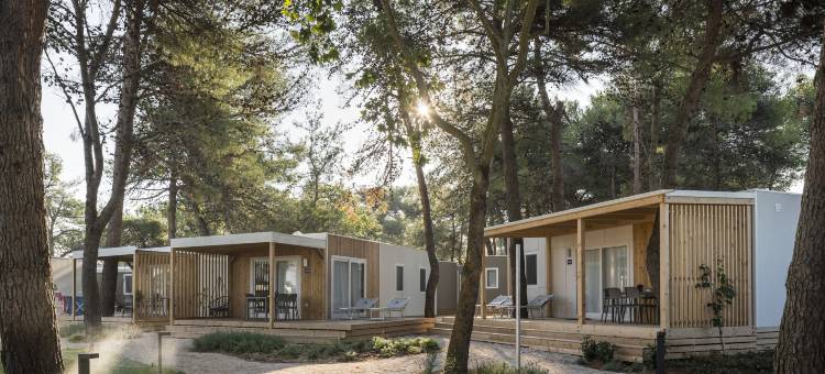 法尔肯斯泰恩精品活动房扎达尔- 露营酒店(Falkensteiner Premium Mobile Homes and Camping Zadar)图片