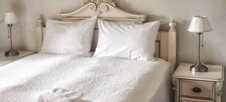 特鲁温杰西加德酒店(Trudvang Gjestegaard)图片