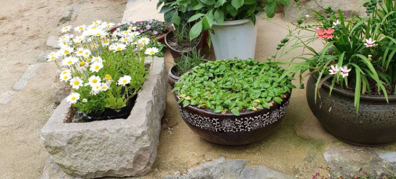 奥吉永耶安戈萨旅馆(Okyeon Jeongsa)图片