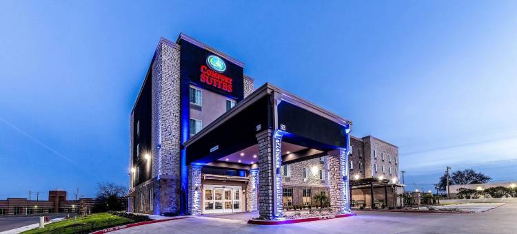 大草原城阿灵顿北部舒适套房酒店(Comfort Suites Grand Prairie - Arlington North)图片