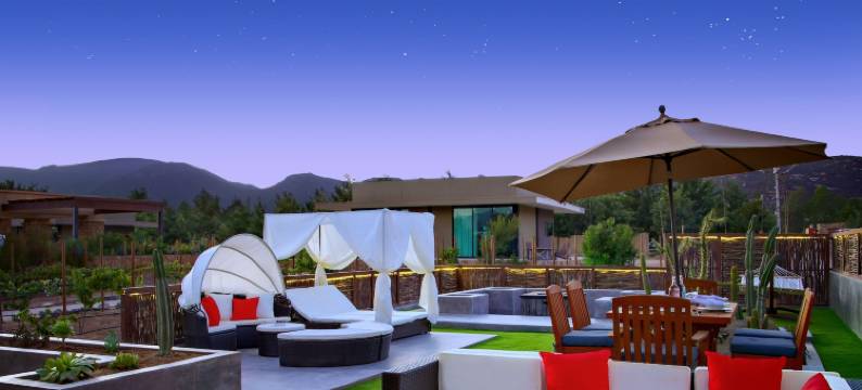 瓜达卢佩谷精品酒店和水疗中心(Hotel Boutique Valle de Guadalupe & Spa)图片