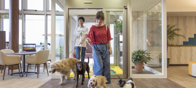 伊东高原汪汪天堂公寓酒店(Izu-Kogen Wan Wan Paradise Condominium)图片