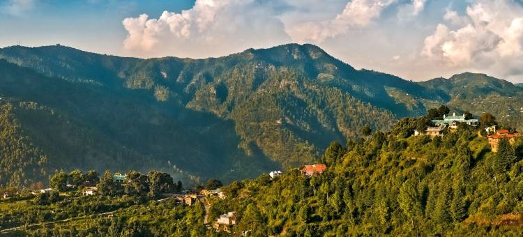 尼姆拉纳斯-拉姆格尔平房(Neemrana's - Ramgarh Bungalows)图片