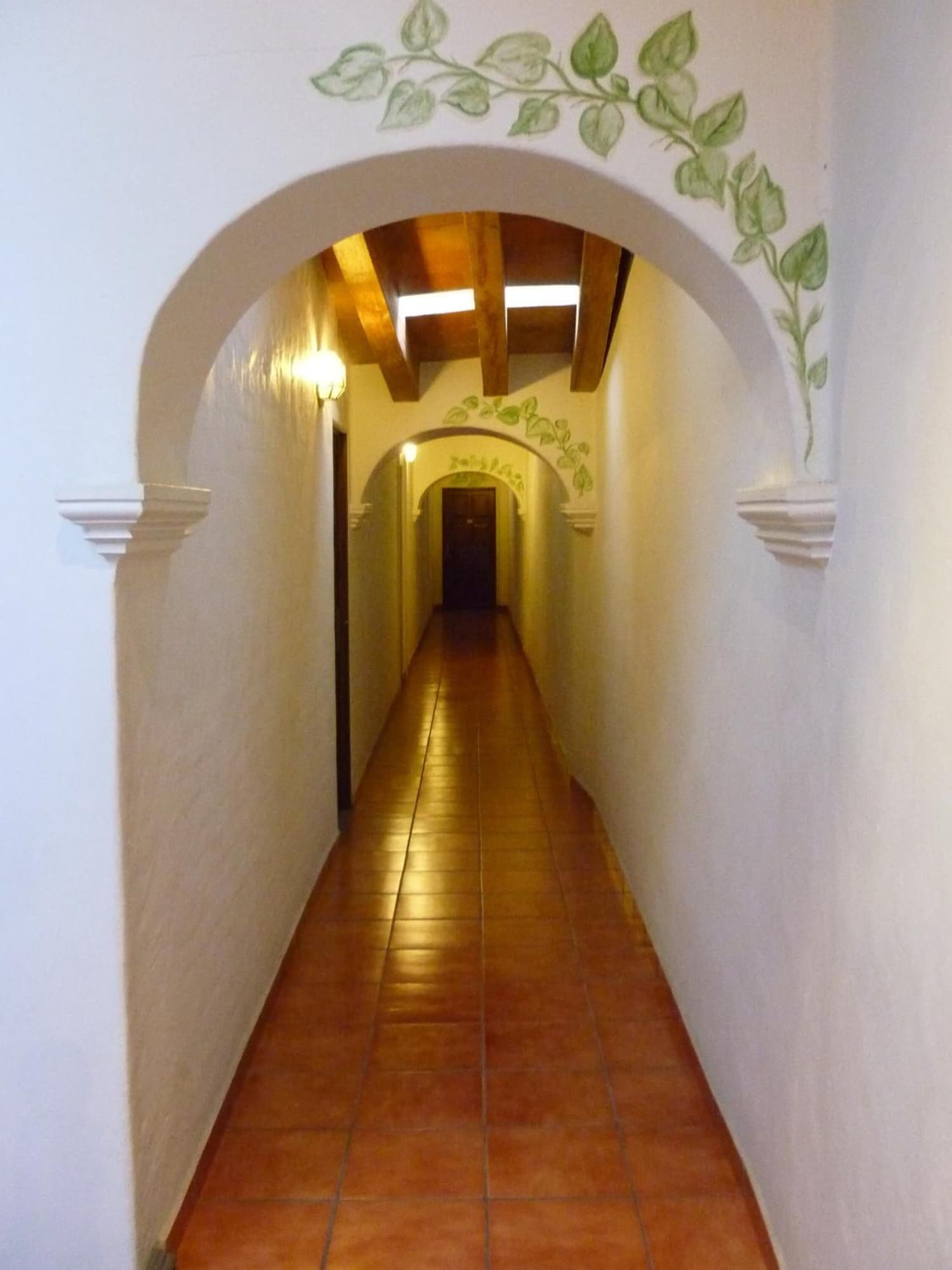 Meson del Alferez Coatepec Over view