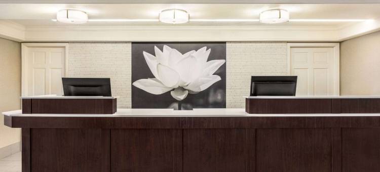 圣安东尼奥I-35北托亚弗韦恩拉昆塔温德姆酒店(La Quinta Inn by Wyndham San Antonio I-35 N at Toepperwein)图片