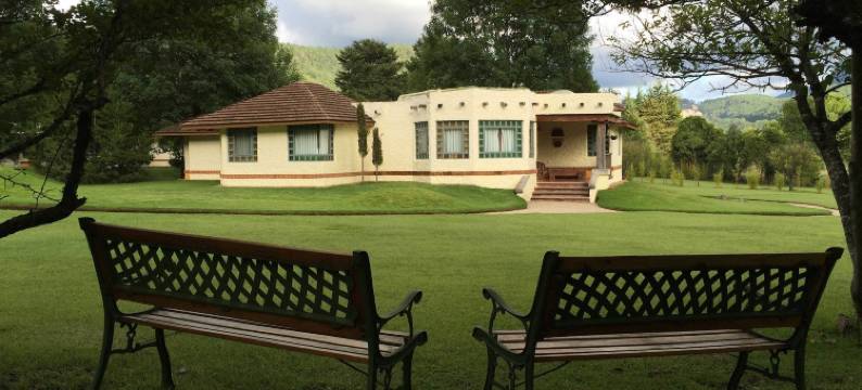 森林太阳套房酒店(Hotel Bosques del Sol Suites)图片