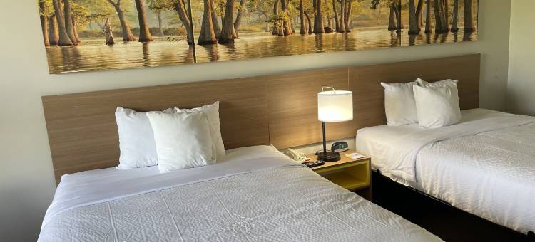 温德姆戴斯酒店-近弗多斯塔购物中心(Days Inn by Wyndham Valdosta/Near Valdosta Mall)图片