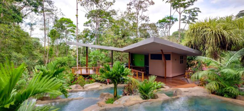 查查古亚雨林旅馆及温泉(Chachagua Rainforest Hotel & Hot Springs)图片
