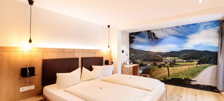 兰德豪斯劳博酒店(Landhaus Lauble)图片