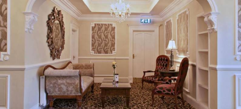 菲茨杰拉德伍德兰德酒店(Fitzgeralds Woodlands House Hotel)图片