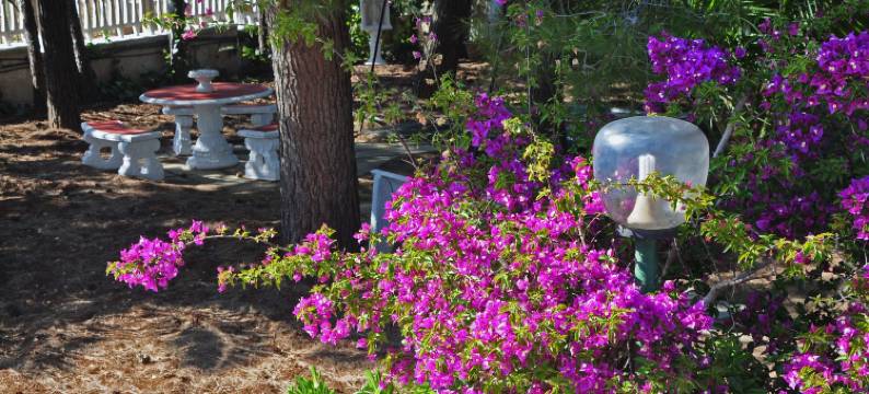 拉腊别墅酒店(Villa Lara)图片