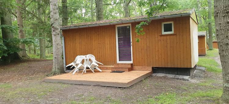 Ferienpark-艾兴瓦尔德(Ferienpark-Eichenwald)图片