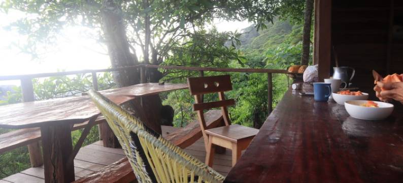 Taorayiná 自然保护区(Taorayiná nature reserve)图片