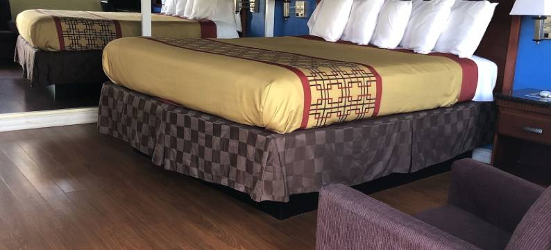 安可汽车旅馆(Encore Motel)图片