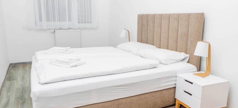 Dagály 公寓，由 FirstHost 提供(Dagály Apartments by FirstHost)图片