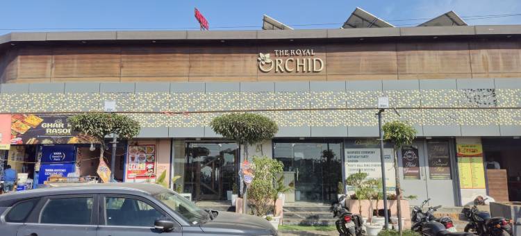 皇家兰花(The Royal Orchid)图片