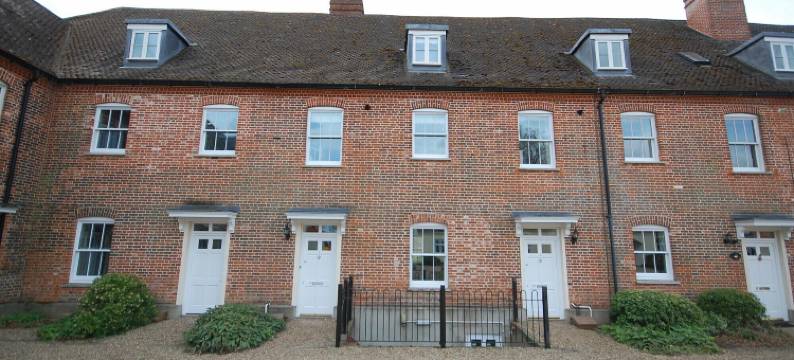 布莱思维的藏红花(Saffron, Blythview)图片