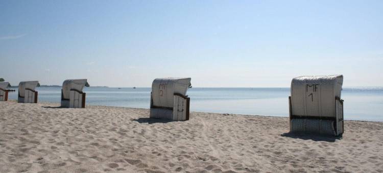 希尔克道夫酒店(Hof Sierksdorf)图片