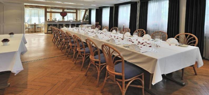 林德斯泰莱赛米娜酒店(Seminarhotel Linde Stettlen)图片