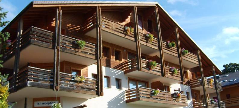 莱森派克卡斯特住宅酒店(Résidence Castel Club Leysin Parc)图片