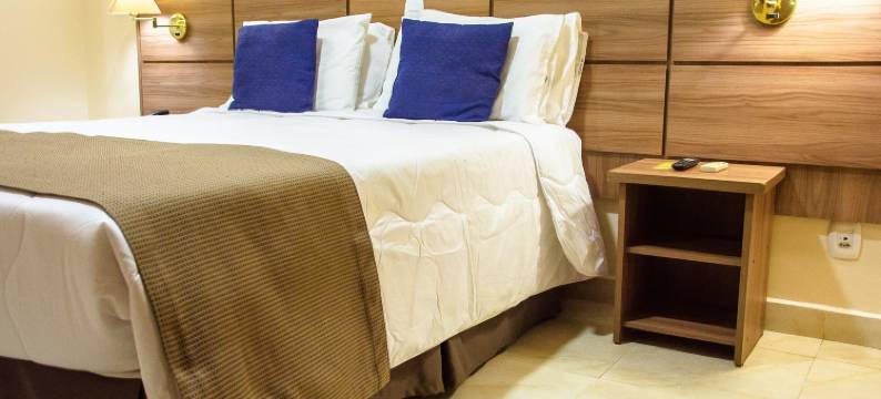 波苏阿莱格里菲尼克斯酒店(Fenix Hotel Pouso Alegre)图片