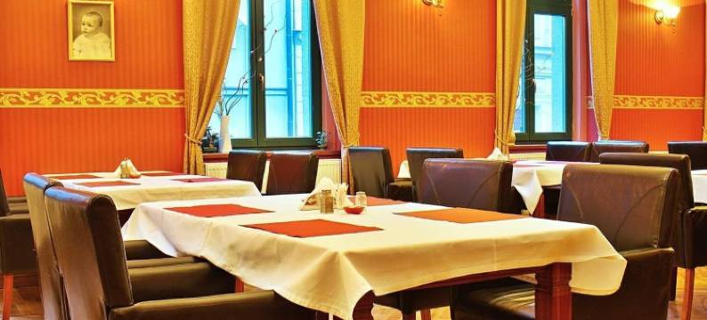 扎泰茨兹莱提列弗酒店(Zlatý Lev Žatec)图片