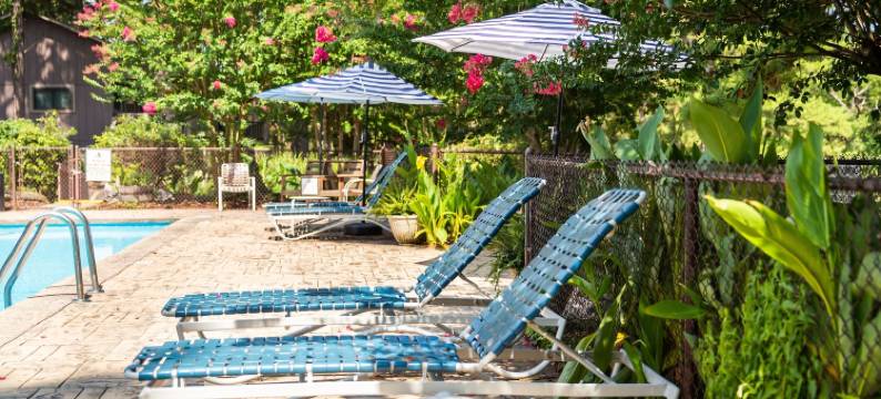 Forest View, Log-Sided Two Bedroom, Two Bath Condo on Lake Ouachita. 2 Condo by Redawning图片