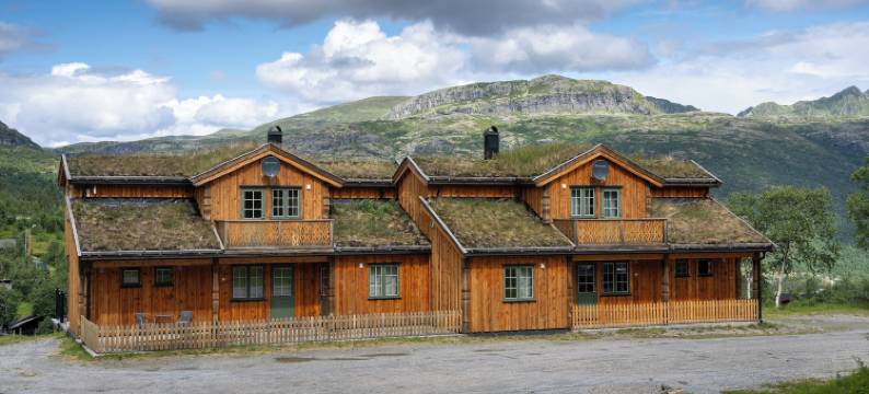 弗列菲尔斯特恩(Filefjellstuene Hytter og Leiligheter)图片