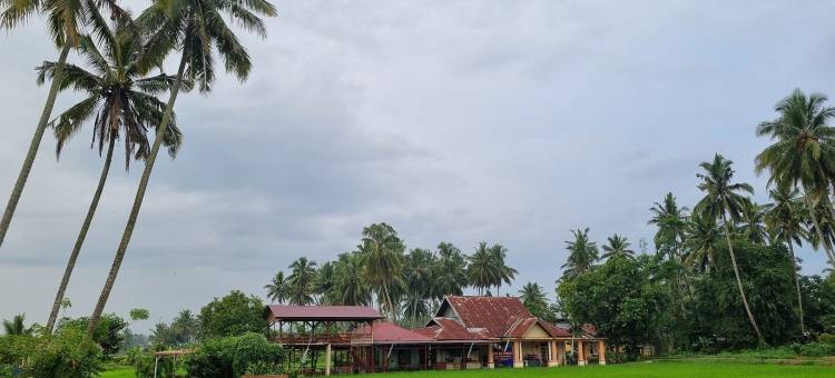 Wafaby客栈(Wafaby Guest House)图片