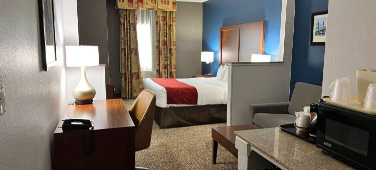 路易斯维尔东舒适套房酒店(Comfort Suites Louisville East)图片