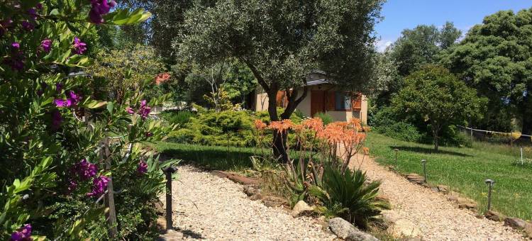 靠近阿尔克诺克酒店(La Cerca Del Alcornoque)图片