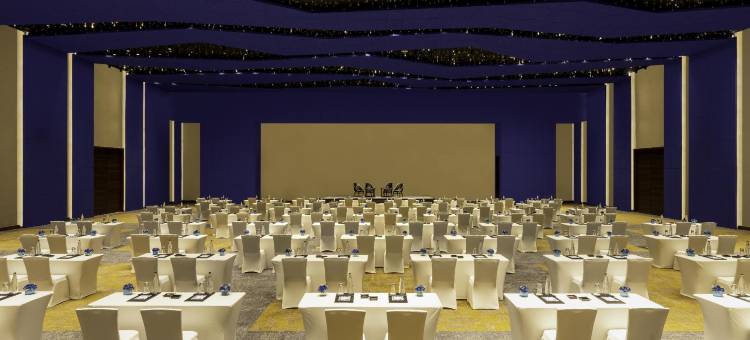 诺富特齐普尔会议中心酒店(Novotel Jaipur Convention Centre)图片